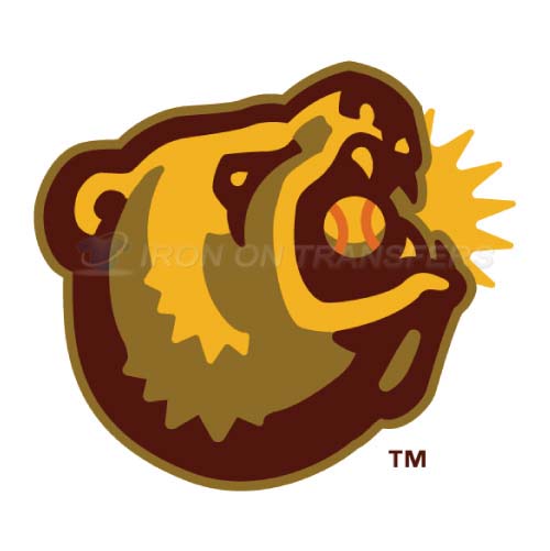 Fresno Grizzlies Iron-on Stickers (Heat Transfers)NO.8164